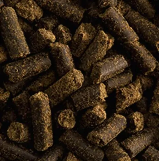 ST - Hippolyt - Makor - Vysoce vstřebatelný hořčík 1 kg