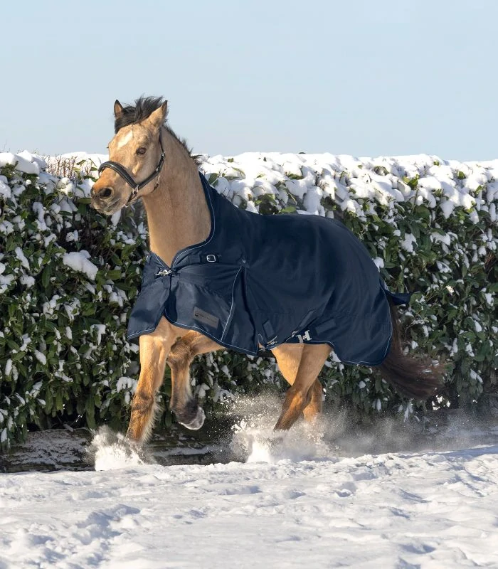 Waldhausen - Výběhová deka SCANDIC s vyšším krkem Light