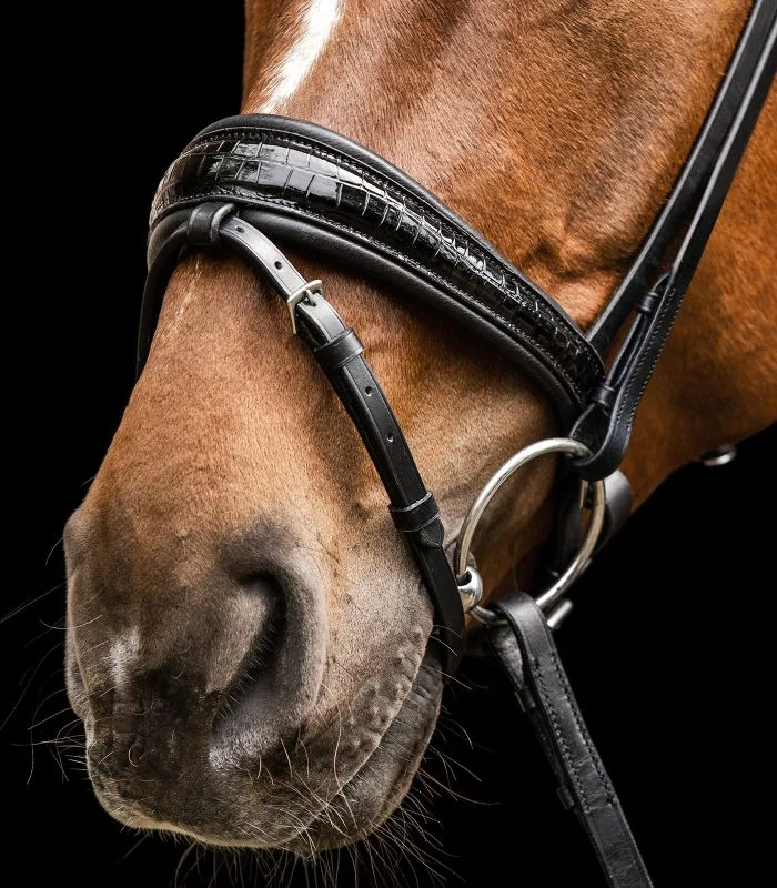 Waldhausen - S-Line - Uzdečka Bridle Magic