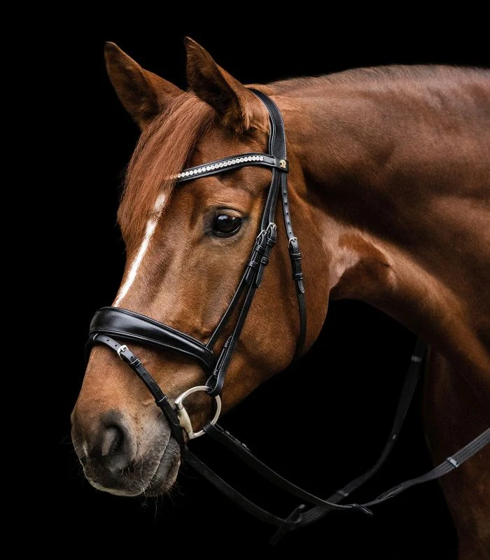 Waldhausen - S-Line Uzdečka Bridle Essential