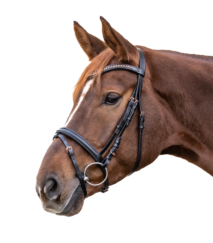 Star - Uzdečka Rosemary