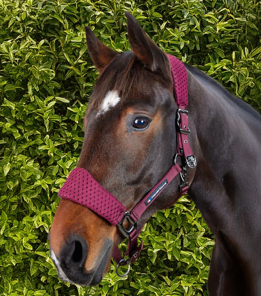 Premier Equine - Ohlávka s vodítkem Necto