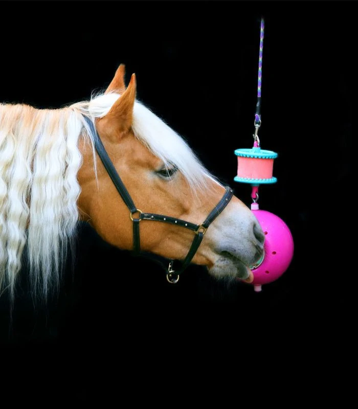 Likit - Držák na liz Boredom Breaker