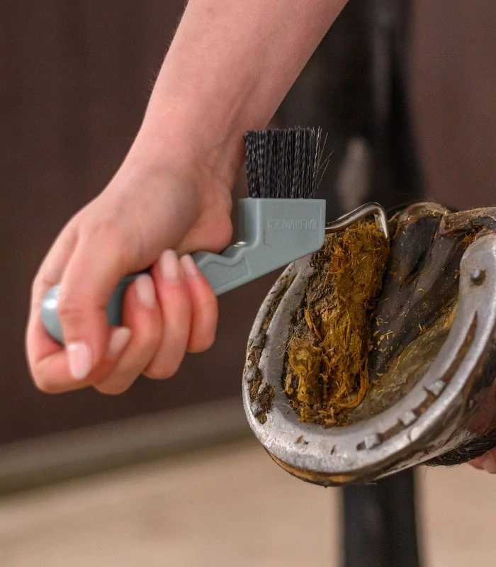 Waldhausen - Kopytní háček s magnetem