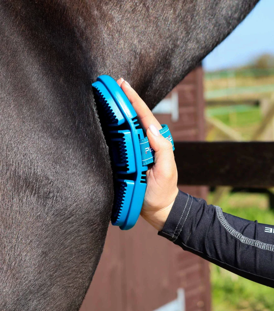 Premier Equine - Flexi Curry - Anatomické gumové hřbílko