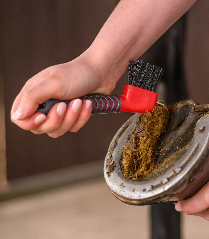 Waldhausen - Kopytní háček 