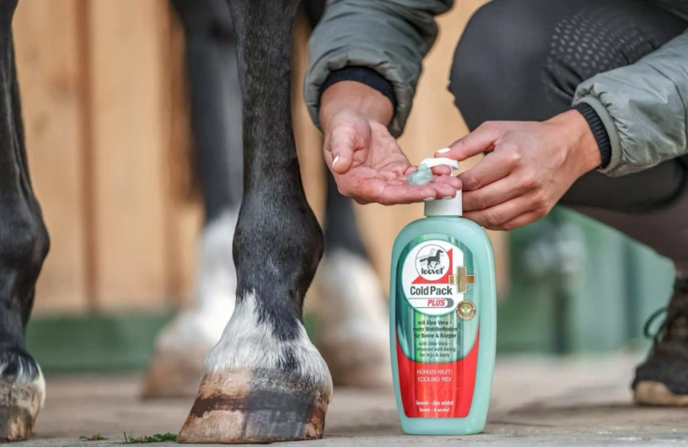 Leovet - Cold Pack Plus - Studený obklad s následným hřejivým účinkem na unavené svaly, klouby a šlachy 500 ml