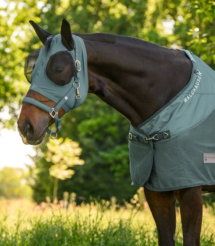 Waldhausen - Ohlávka Trinidad