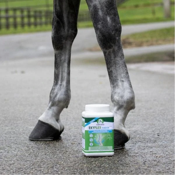 Audevard - Ekyflex Tendon EVO 1,8kg