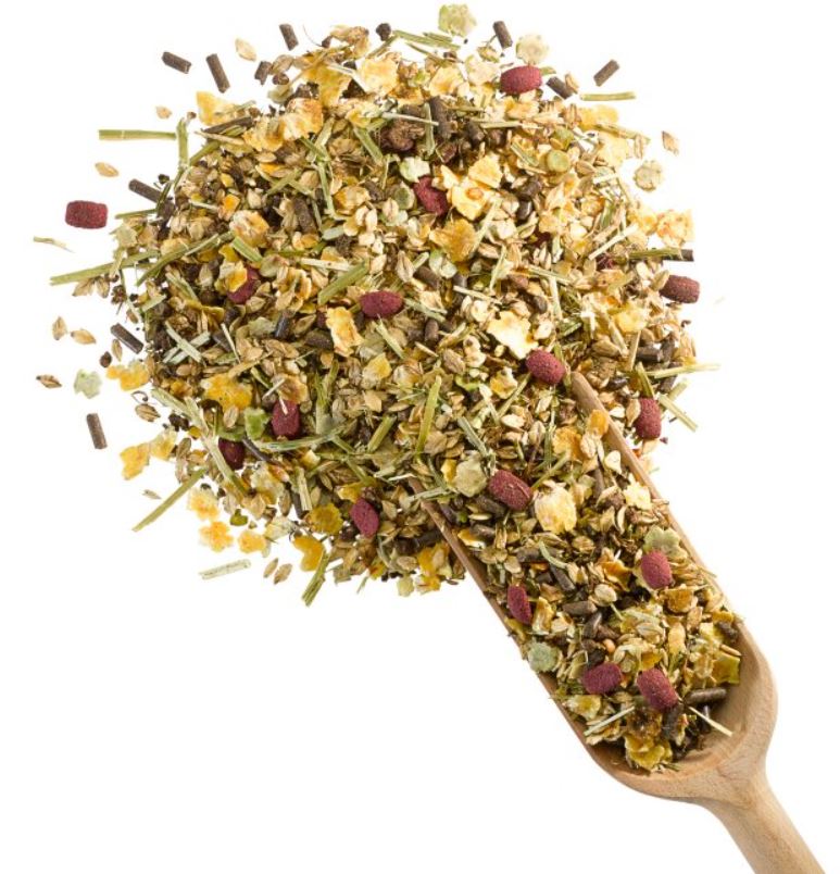 Derby - Dressage 20 kg