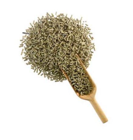 Derby - Winner Plus 25 kg