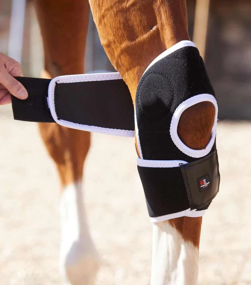 Premier Equine - Magnetické hlezenní chrániče Magni-Teque