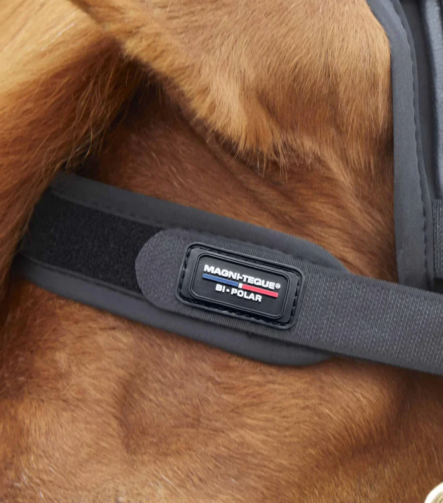 Premier Equine - Magnetická čelenka Magni-Teque