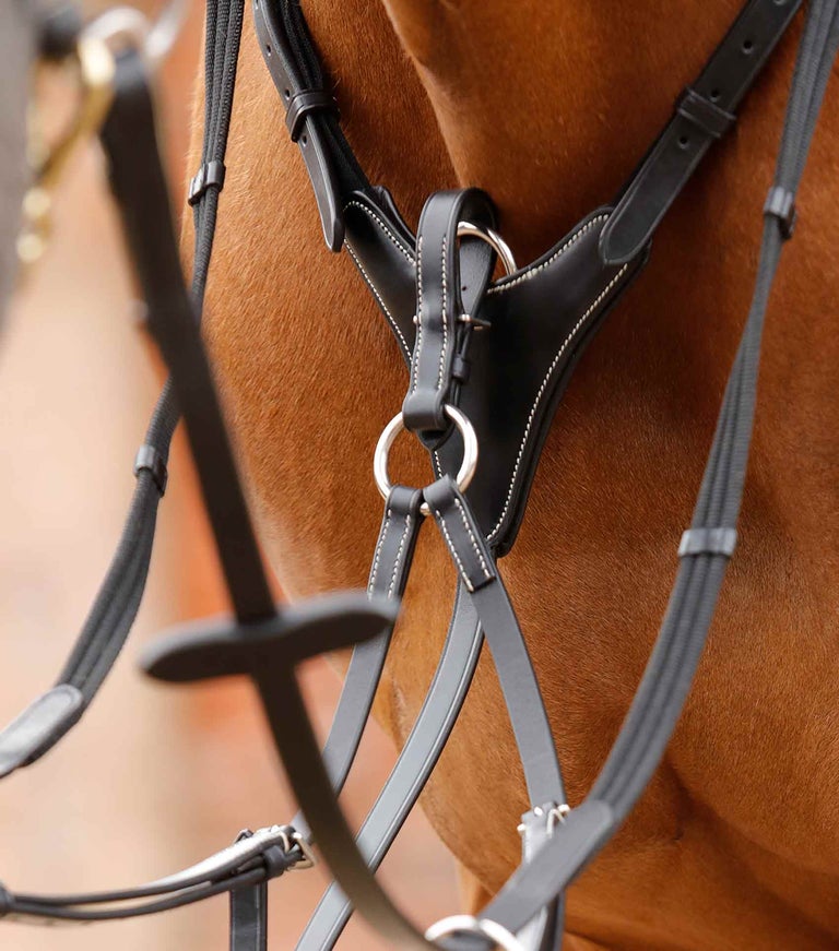 Premier Equine - Poprsník Norbello Hunter