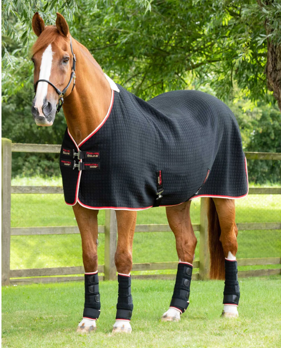 PE - Odpocovací deka PremTex