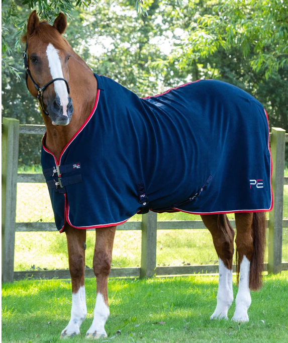 Odpocovací deka Asure Fleece