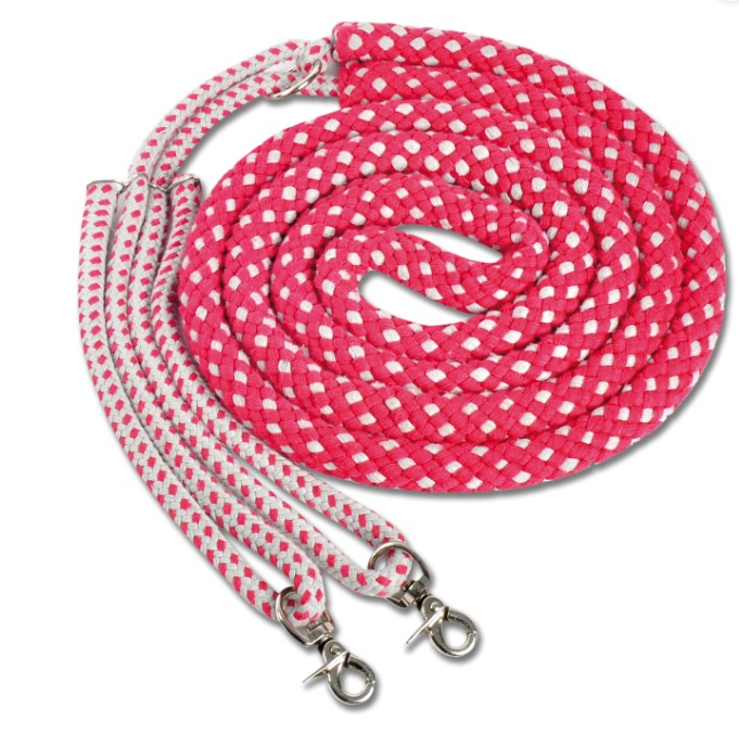 Waldhausen - Lonžovací pomůcka (postroj)