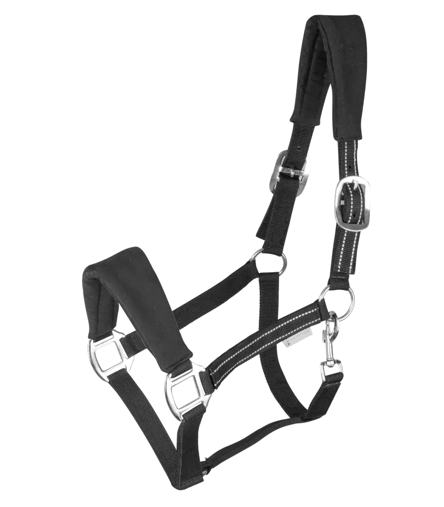 Waldhausen - Ohlávka Alcantara