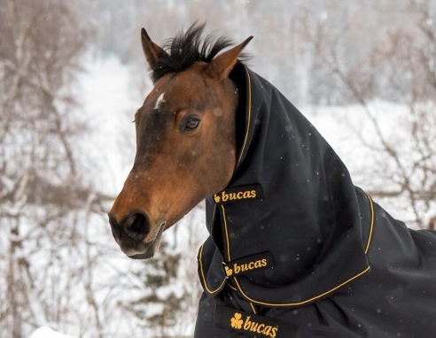 Bucas - Irish Turnout - Samostatný krk 50g