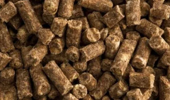 ST Hippolyt - Super Condition 10 kg