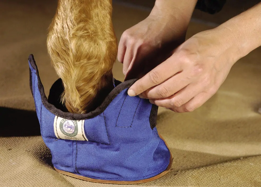 EQUIVET - Botička pro koně Slipper 