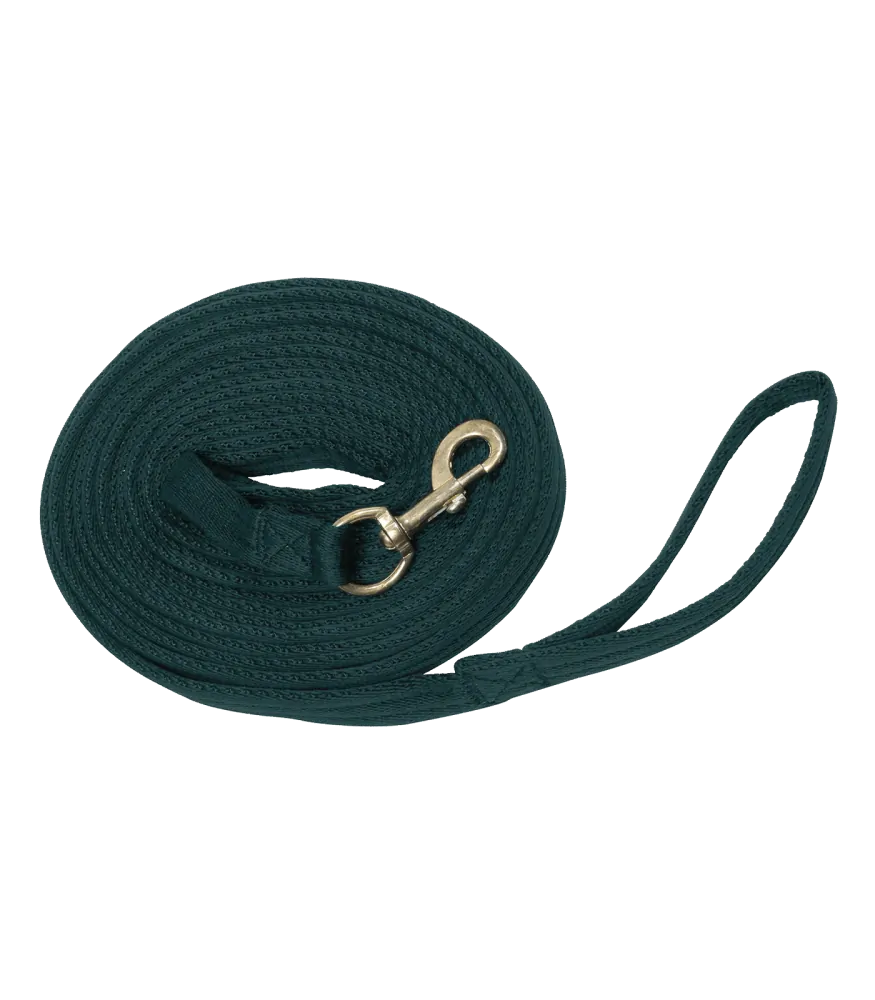 Waldhausen - Lonž Griffy