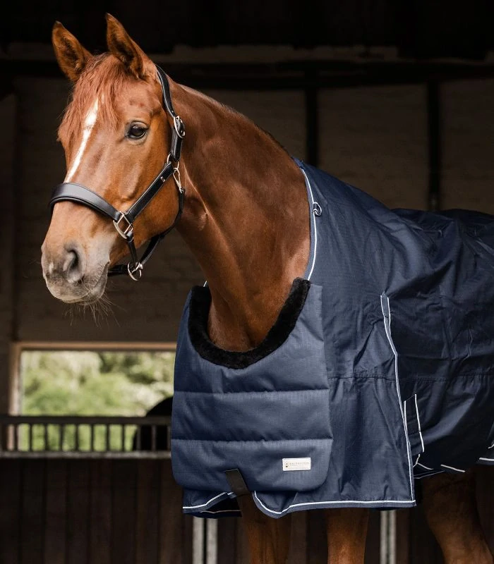 Waldhausen - Prsní díl 