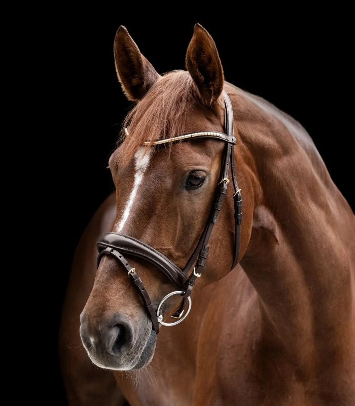 Waldhausen - X-Line Uzdečka Clincher