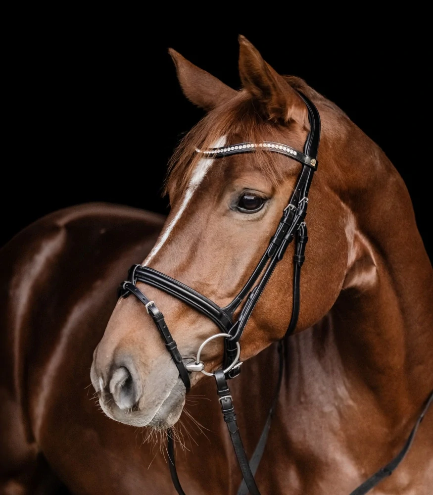 Waldhausen - S - Line Uzdečka Bridle Harmony