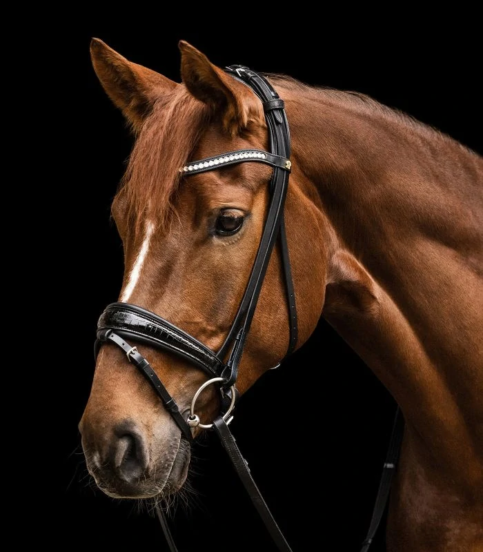 Waldhausen - S-Line - Uzdečka Bridle Magic