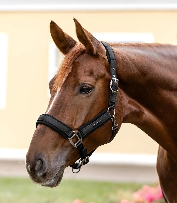 Waldhausen - Ohlávka Soft Touch