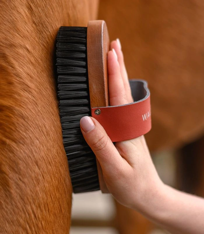 Waldhausen - Kartáč z tvrdého dřeva, syntetické štětiny