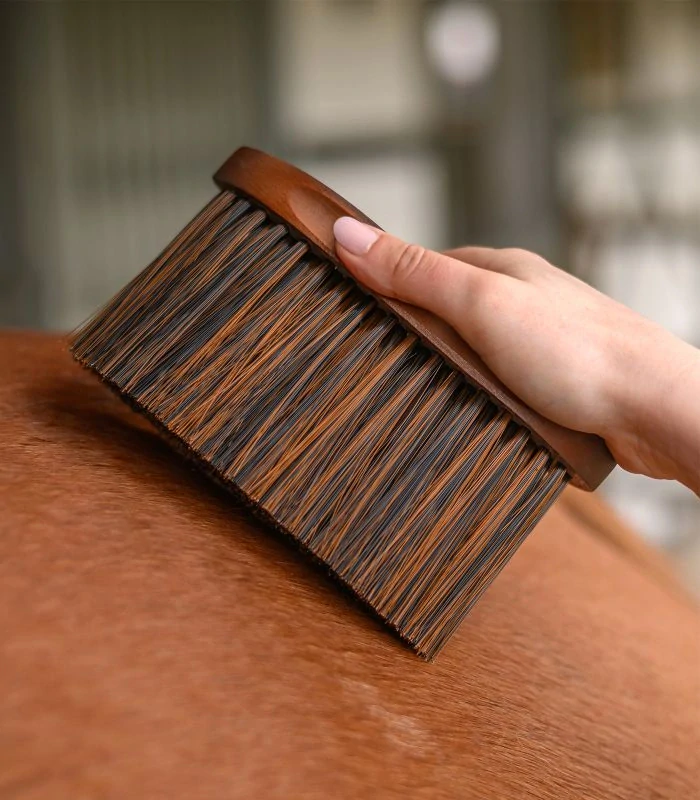 Waldhausen - Kartáč s dlouhým vlasem Dusting Brush HardWood
