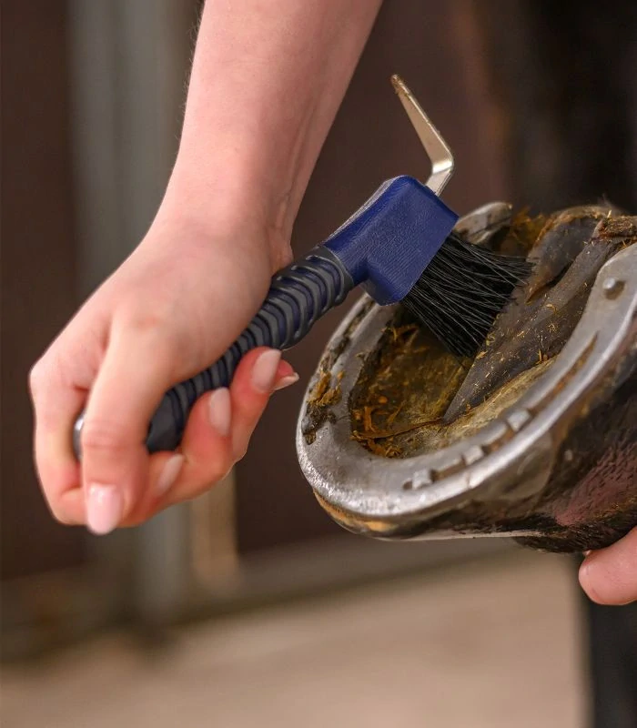 Waldhausen - Kopytní háček 