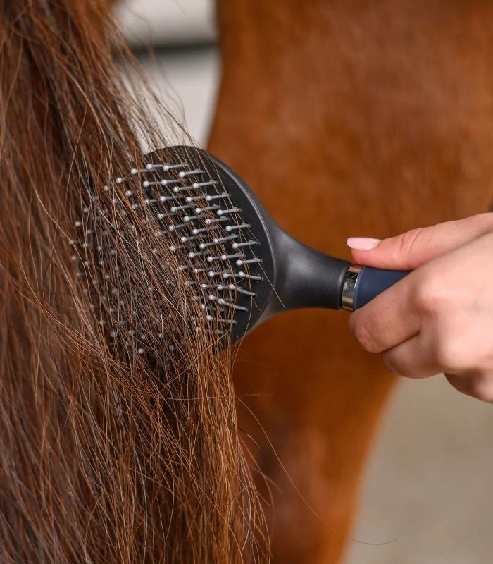 Waldhausen - Kartáč na dlouhé žíně s gelovou rukojetí