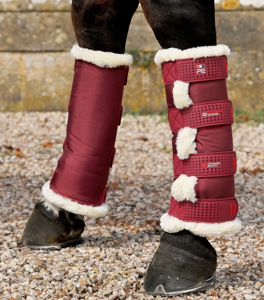 Premier Equine - Cestovní kamaše Techno Wool