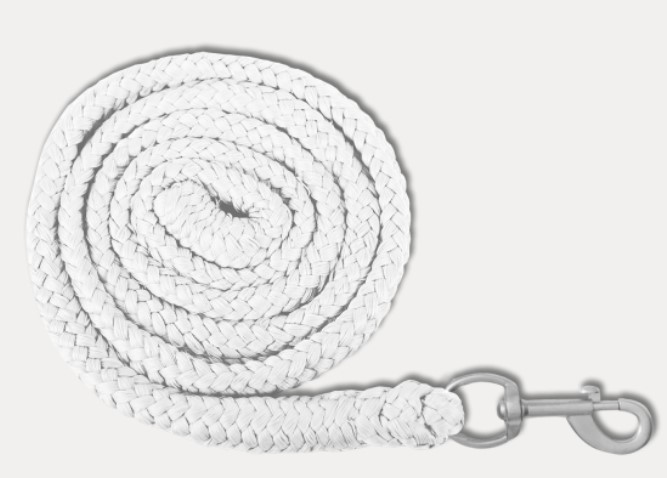 Waldhausen - Vodítko Economic