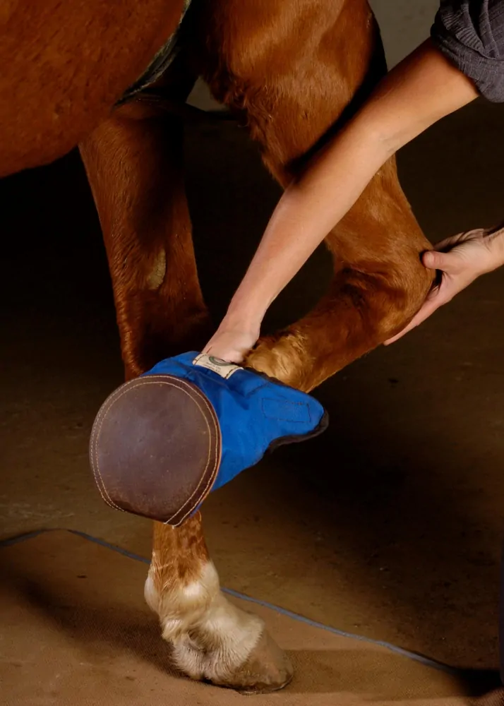 EQUIVET - Botička pro koně Slipper 