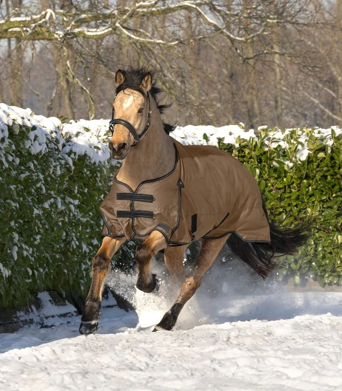 Waldhausen - Výběhová deka ARCTIC (50 g)