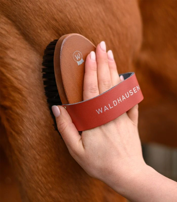 Waldhausen - Kartáč z tvrdého dřeva, syntetické štětiny