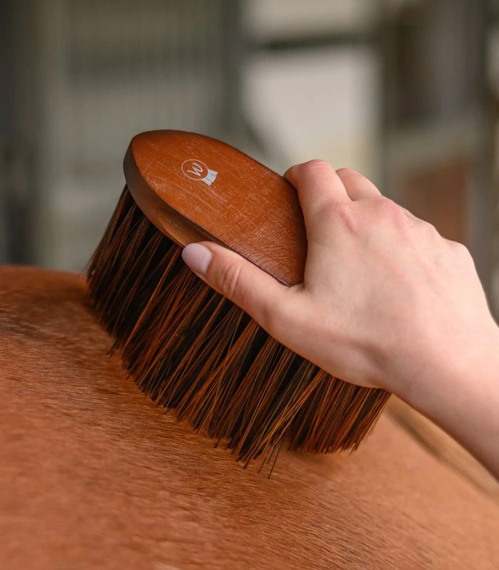 Waldhausen - Kartáč s dlouhým vlasem Dusting Brush HardWood
