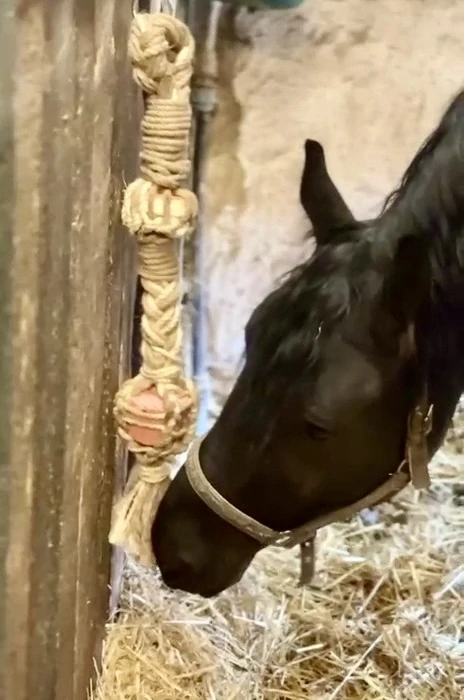 HryzLiz - trvanlivá hračka pro koně do boxu i ven s minerálním lizem Lolly Lick (Balení 3 kg)