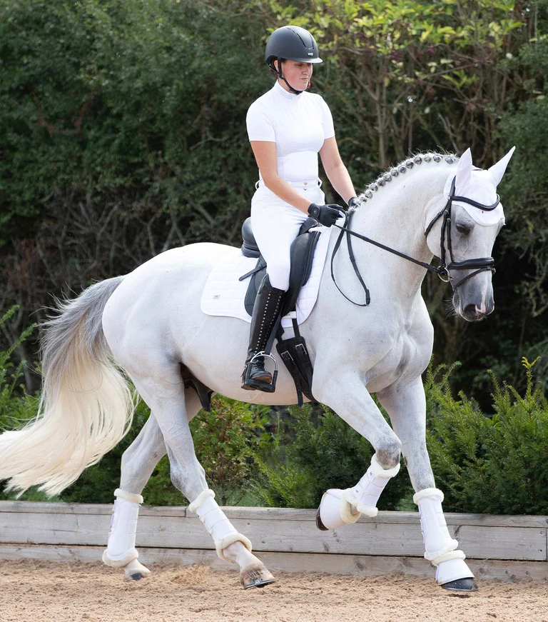 Premier Equine - Kamaše Techno Wool