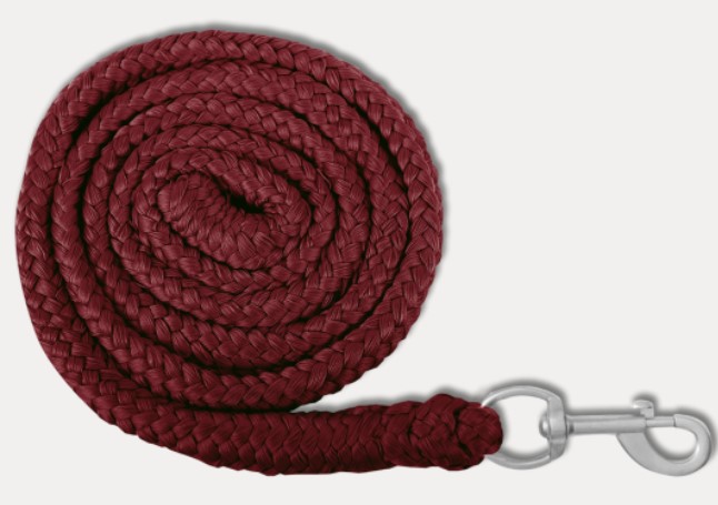 Waldhausen - Vodítko Economic