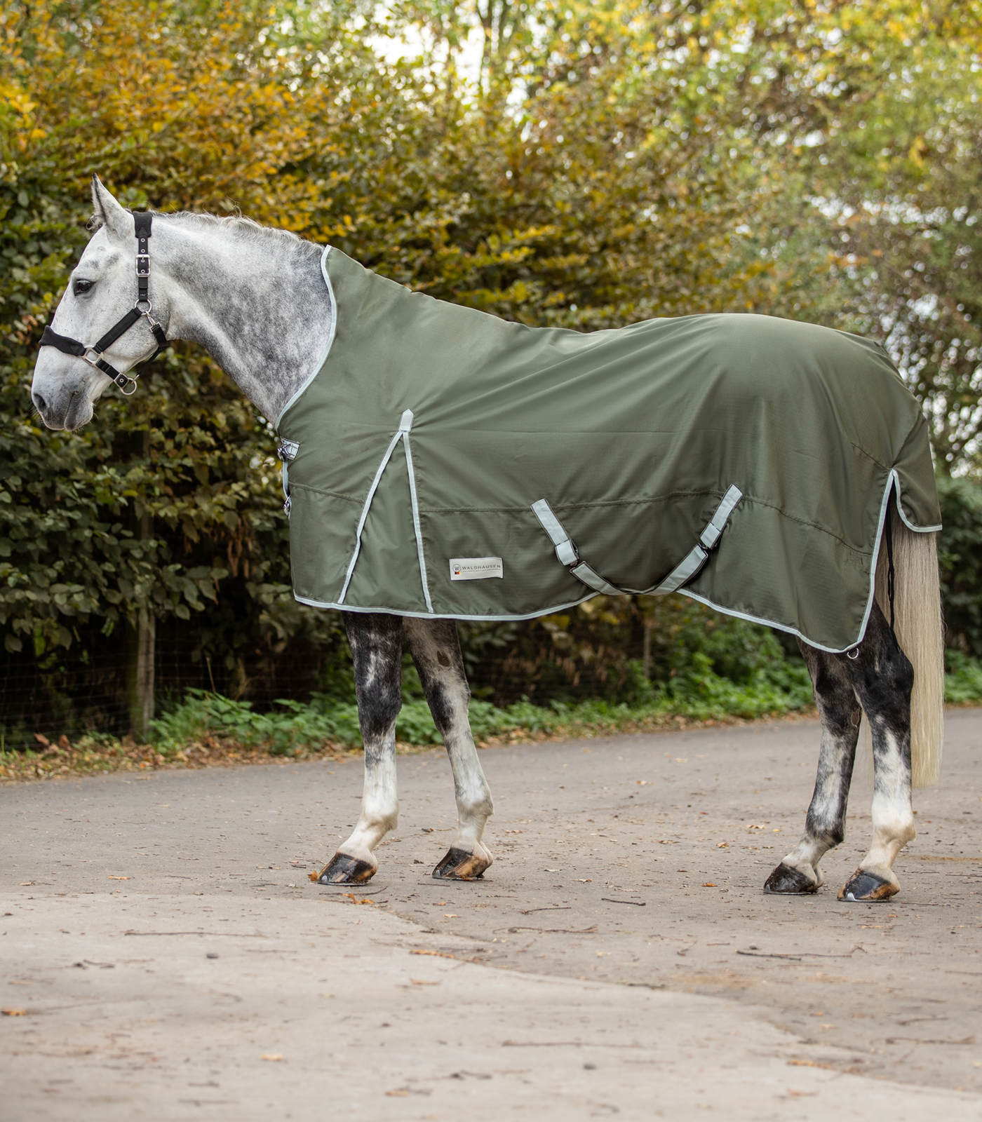 Waldhausen - Economic Výběhová deka s vyšším krkem, lehká