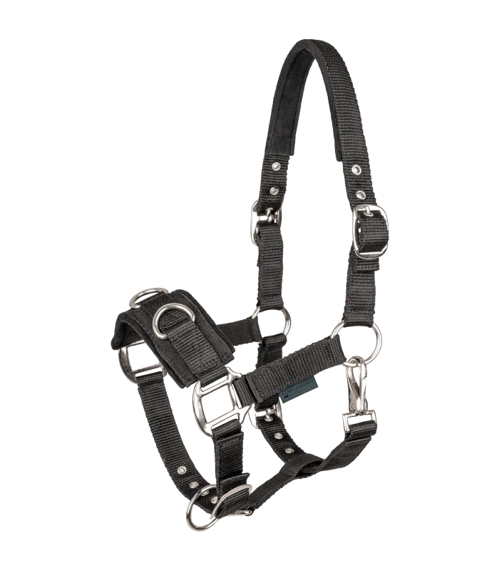 Waldhausen - Lonžovací obnosek