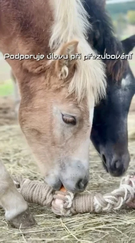 HryzLiz - trvanlivá hračka pro koně do boxu i ven s minerálním lizem Lolly Lick (Balení 3 kg)