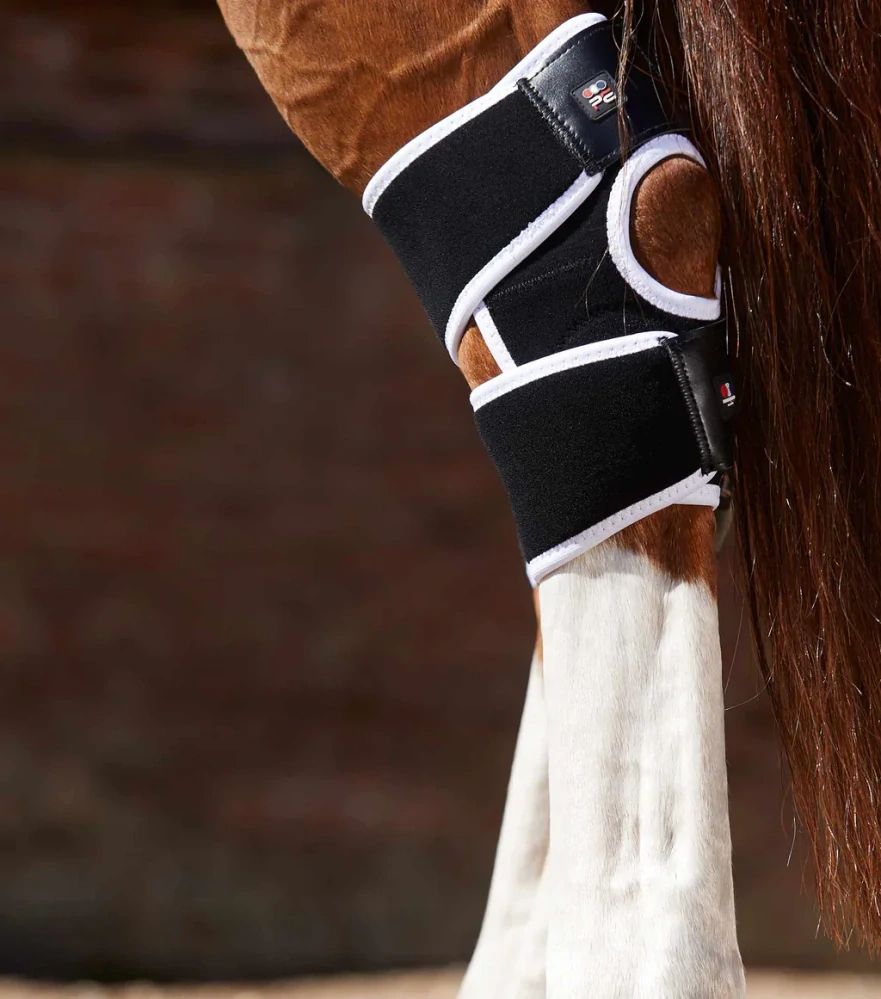 Premier Equine - Magnetické hlezenní chrániče Magni-Teque