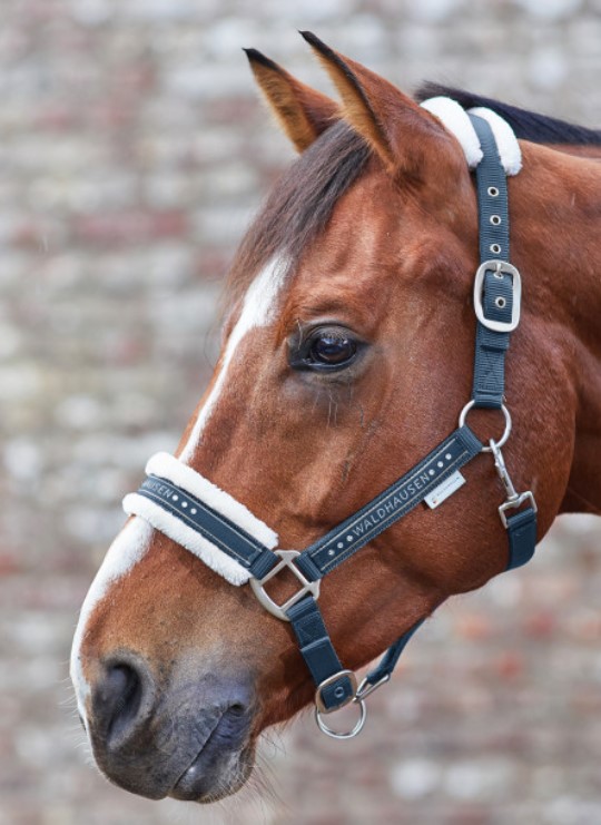 Waldhausen - Ohlávka Elegant