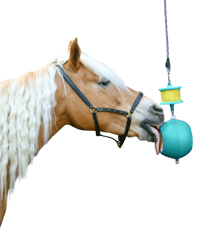 Likit - Držák na liz Boredom Breaker